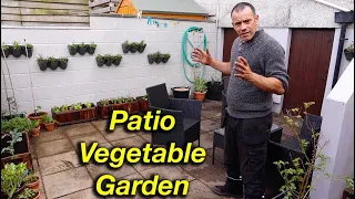 Growing Patio Vegetables QUICK and EASY!