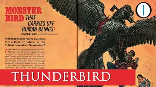 THUNDERBIRD: cos'era l'uccello del tuono?