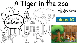 a tiger in the zoo class 10 in hindi / class 10 english poem a tiger in the zoo rkkilines