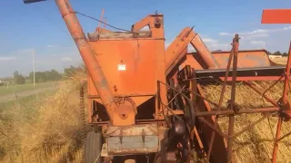 All-Crop Wheat Harvest 2018