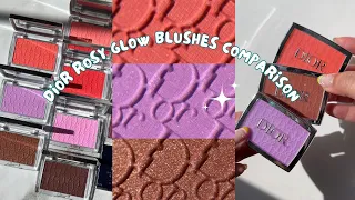 Watch Before You Buy: Dior Rosy Glow Blushes Comparison - New Summer 2024 Shades vs Existing Shades