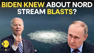 Ukrainian divers bombed Nord stream pipelines; CIA was aware months before the blasts: Report | WION