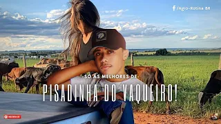 PISADINHA DO VAQUEIRO, PISEIRO, Mais de Duas Horas de Musicas, Só As Melhores - (Agro-Rotina BR)