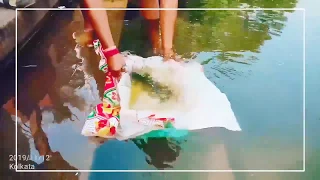 New Decorative Fish Releasing in Ramakrishna Kundu at Ramakrishna Math (Yogodyan)