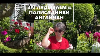 АНГЛИЙСКИЕ САДЫ в коттеджном стиле в ЛОНДОНЕ - ЧТО ТАМ РАСТЕТ?🌸 цветущий сад своими руками. Британия