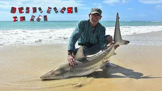 Dusky shark at SURF CASTING: Ilha do Sal Cabo Verde