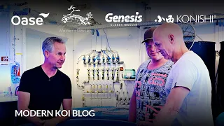 Modern Koi Blog #5992 - Dany und Thomas und zwei geniale Sansai