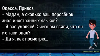 💎Звонок. Фира Открывает Дверь   Большой Сборник Смешных Анекдотов,Для Супер Настроения!