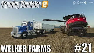 WELKER FARMS | FS19 Timelapse #21 | Farming Simulator 19 Timelapse