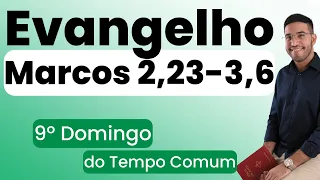 Evangelho | Marcos 2,23-3,6 | 9º Domingo do T. Comum | 02/06/2024