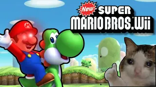 New Super Mario Bros. Wii Stream! | YES IM DOING THIS SORRY LOL | VC Opened!