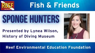Fish & Friends Seminar: Sponge Hunters, Lynea Wilson, History of Diving Museum