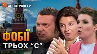 У СОЛОВЙОВА, СИМОНЬЯН ТА СКАБЄЄВОЇ панічні атаки // Вігірінський