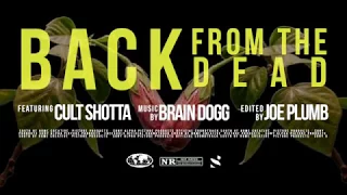 Brain Dogg & Cult Shφtta - Back From The Dead [Official Mv]