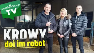 Robot doi im 49 krów. Mniej czasu spędzają w oborze. Wakacje można zaplanować