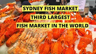 Sydney Fish Market | Third Largest Fish Market in the World