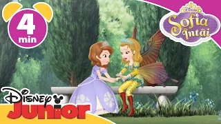 Sofia Intai - Amber, Prințesa Fluture. Doar la Disney Junior!