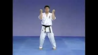 Каратэ Киокушинкай: Ката - Янцу | Kyokushin Karate: Kata - Yantsu