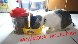 DIY Food Dispenser for Cats from used goods