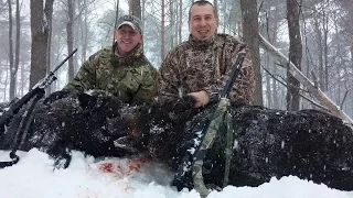 FINGER LAKES EXOTIC FARM WILD HOG .300 WIN MAG!