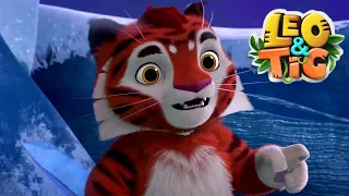 Leo and Tig 💥 Very Very White 💥 बहुत सफेद  ✨ Super Toons TV