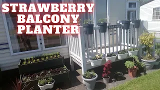Balcony Strawberry Planter Caravan Container Garden Full Time Caravan Life