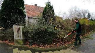 Just Before Christmas I HELPED A FAMILY Transform Their Yard