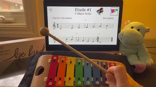 Lesson 1 with Xylophone