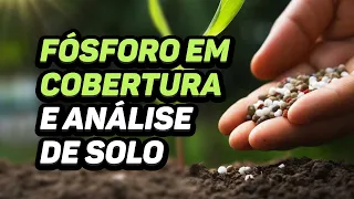 FÓSFORO EM COBERTURA E ANÁLISE DE SOLO