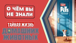 Тайная жизнь домашних животных - факты [О чём Вы не знали]