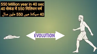 550 million years in 40 seconds evolution to human in seonds