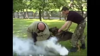 Protection-demo of Police dog securing/disarming suspect .wmv
