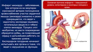 Biology 16+Заболевания и гигиена органов кровообращения.Baranciuc Liudmila