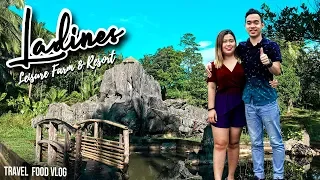 Eco Tour in Quezon Province - Ladines Resort + Food Trip (Pansit Habhab & Rodillas Yema Cake)