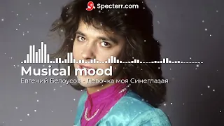 Евгений Белоусов -Девочка моя Синеглазая  Музыка в машину BASS▶   ☆ Дискотека СССР ☆▶