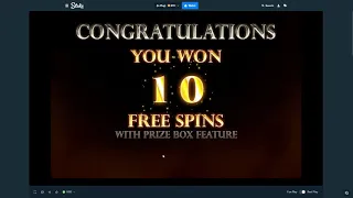 We Tried the Slots Promo on Stake.com