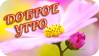 Доброе утро! ❤️ Пусть начнется твой день с улыбки! ❤️ Красивое пожелание! ❤️