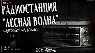 РАДИОСТАНЦИЯ "ЛЕСНАЯ ВОЛНА" | ЭКСКЛЮЗИВ | Страшная история