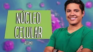 NÚCLEO CELULAR - RESUMO PARA PROVA  - Prof. Kennedy Ramos