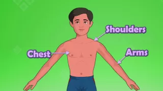 Learn Grade 1 | EVS | Parts of the Body for Kids | KidsClassroom