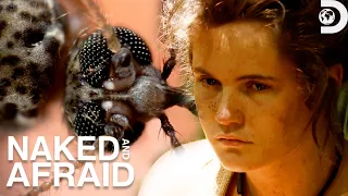 The Worst Bug Encounters | Naked and Afraid | Discovery