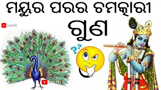 ମୟୁର ପରର ଚମତ୍କାର ଗୁଣ || sadhu bani || anuchinta || baya gita || guruji odia || peacock feather