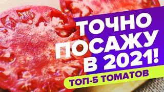 КАКИЕ ТОМАТЫ ПОСЕЯТЬ В 2021? ТОП-5 ТОМАТОВ