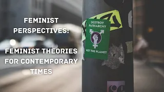 Feminist Perspectives in Contemporary Times: Feminist Perspectives series