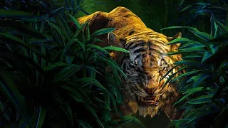 new 2022 hindi dubbed movie || #thejunglebook #hollywood #tiger  #adventure #action #movies