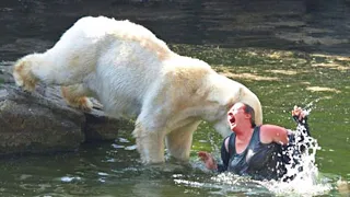 10 ANIMAL ATTACKS ON MOST AWESOME HUMAN BEINGS