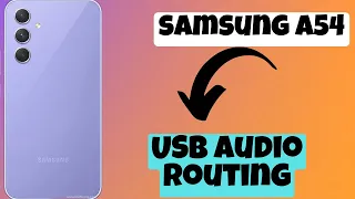 How to enable / Disable USB audio routing || USB audio routing Samsung Galaxy A54