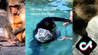 TikTok Animals Compilation 2021 (January 2021) Most Popular Video on Tik Tok  Funny video #3