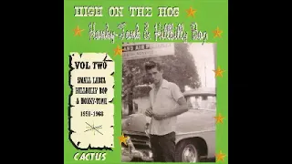 Various – High On The Hog Vol.2 : 50’s 60’s Country Hillbilly, Honky Tonk, Rockabilly Music Album LP