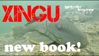 Rio Xingu Book Release - check out the home of the zebra pleco!